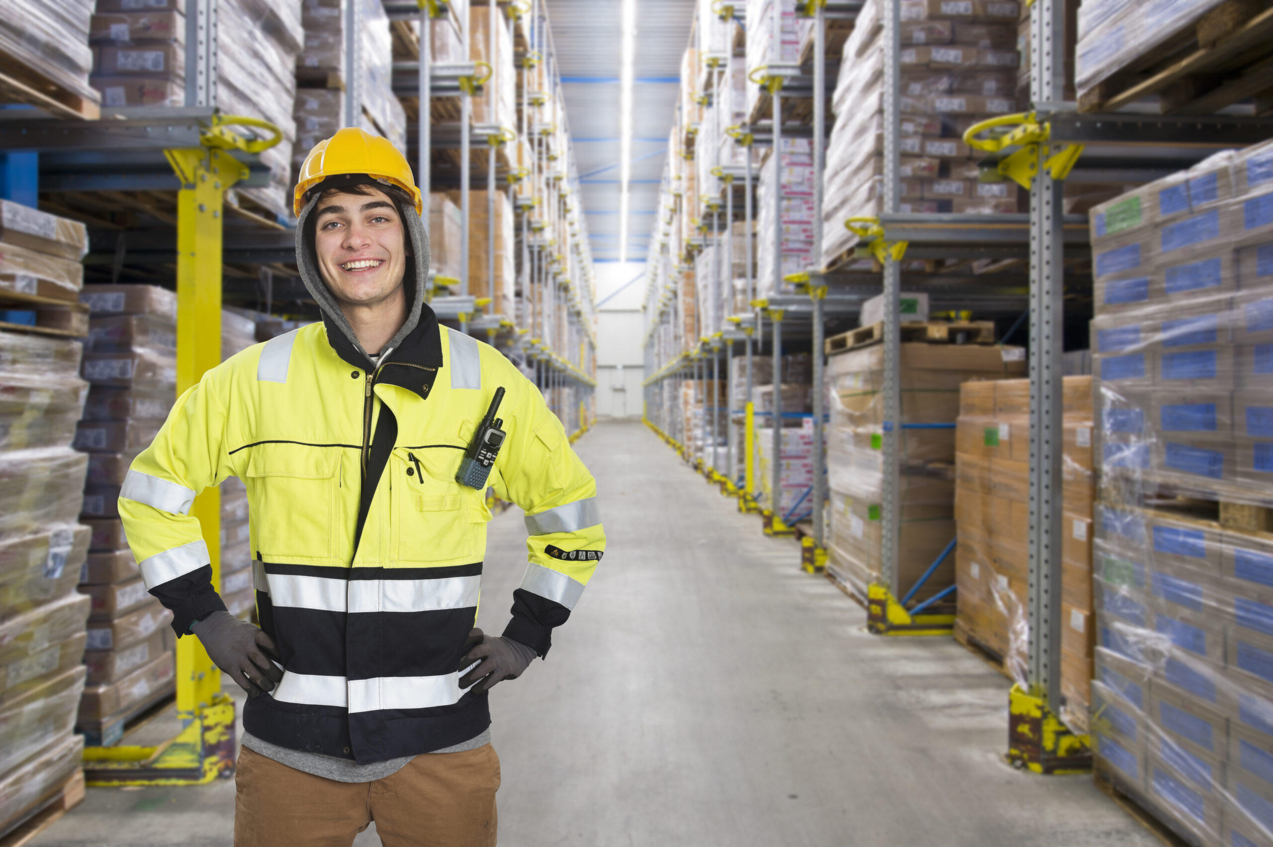 ENTREPOSAGE ET DISTRIBUTION version 4 : FORMATION DES AUDITEURS